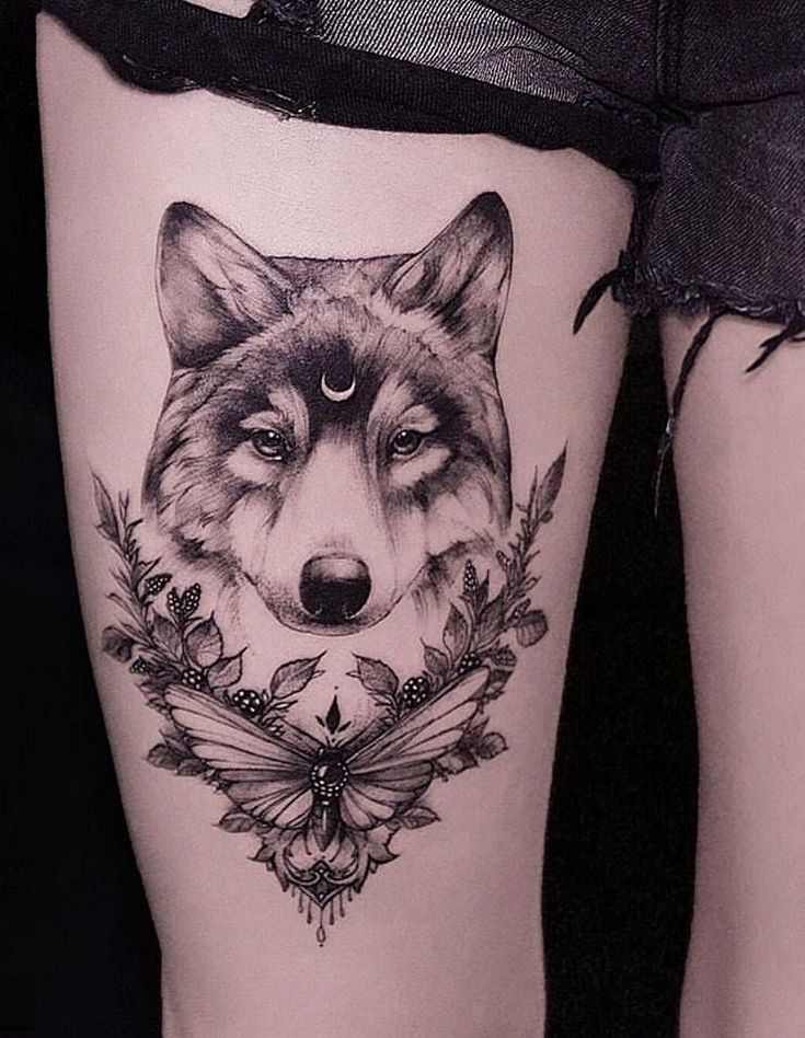 as mais bonitas e novas tatuagens de lobo lobo e borboleta