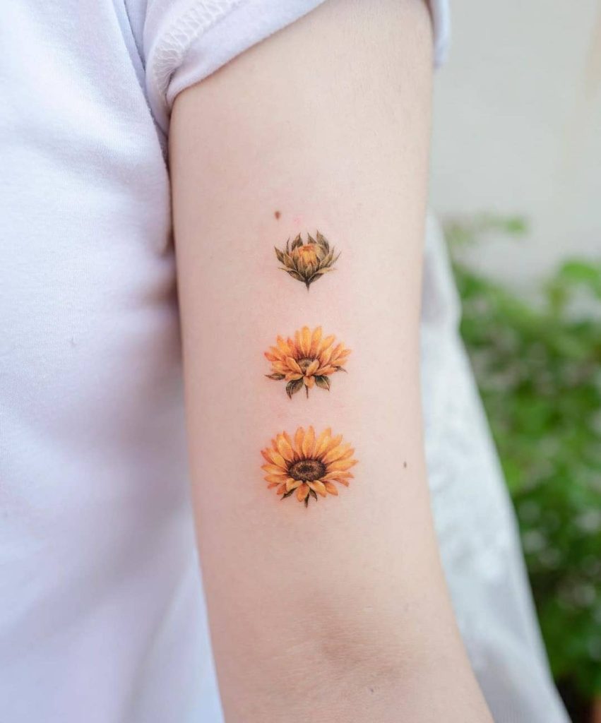 as tatuagens de girassol mais lindas e delicadas fases