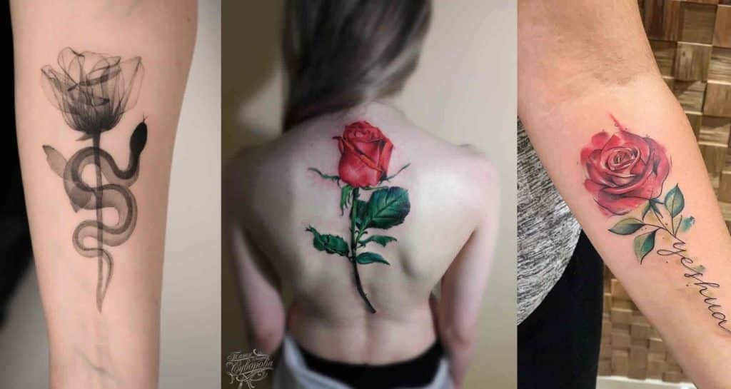 capa post mais bonitas tatuagens de rosa do momento site tattoo and you