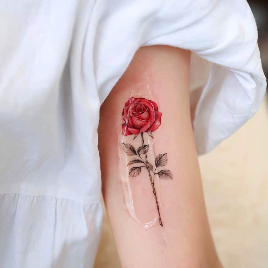 mais bonitas tatuagens de rosa do momento rosa pequena no braço