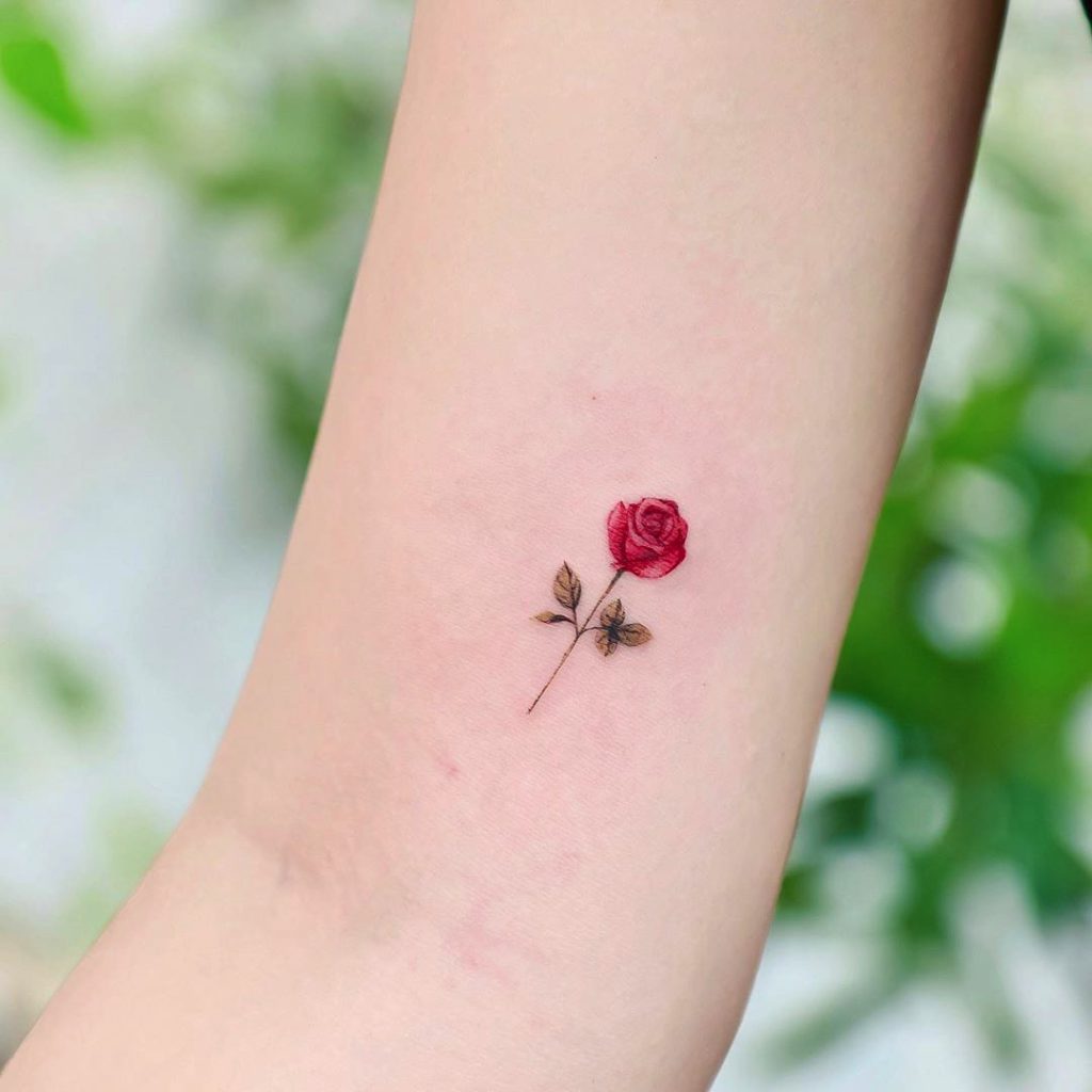 mais bonitas tatuagens de rosa do momento rosa pequena vermelha