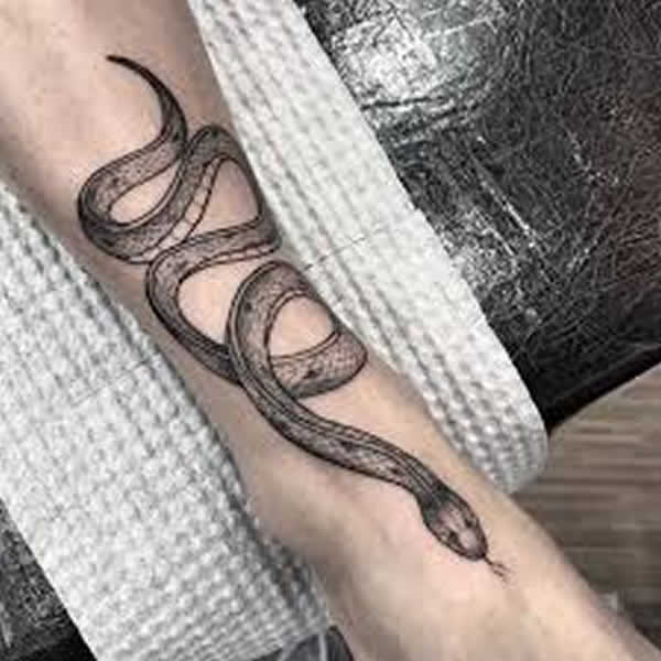 melhores e mais bonita tatuagens de cobra cobra cascavel