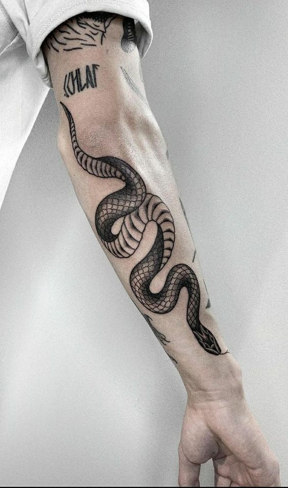 melhores e mais bonitas tatuagens de cobra cobra no braço