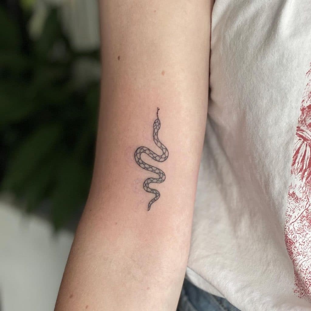 melhores e mais bonitas tatuagens de cobra cobra pequena