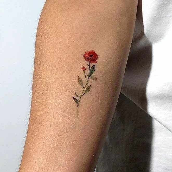 tatuagens pequenas discretas e elegantes para marcar a sua pele rosa vermelha